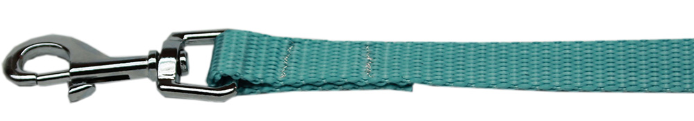 Plain Nylon Pet Leash 5/8in by 6ft Ocean Blue